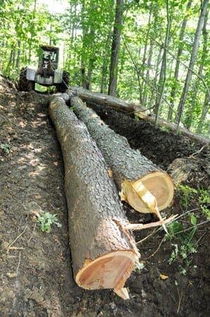 logging company western ny