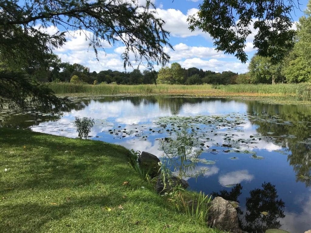 benefits of installing a pond